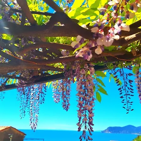 Apartamento Sunset Manarola